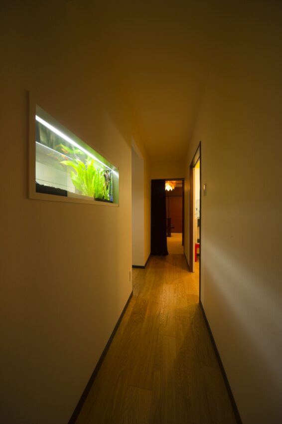 ギャラリー画像