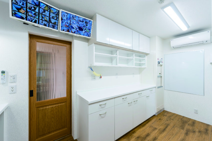 ギャラリー画像