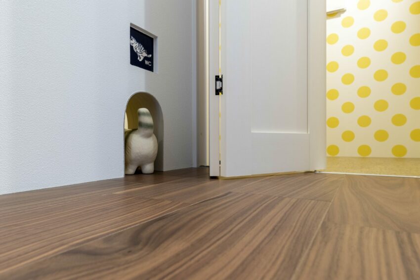 ギャラリー画像