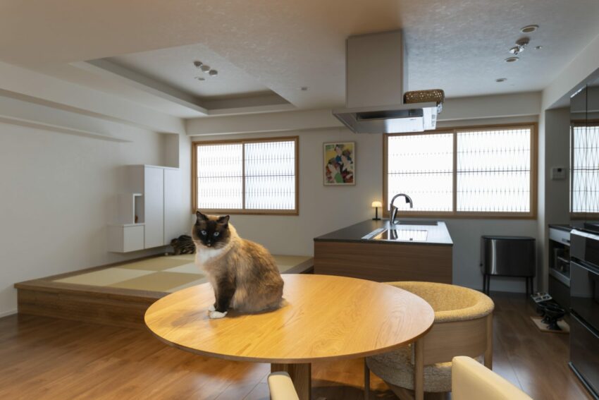 Cat and The kumiko  N邸