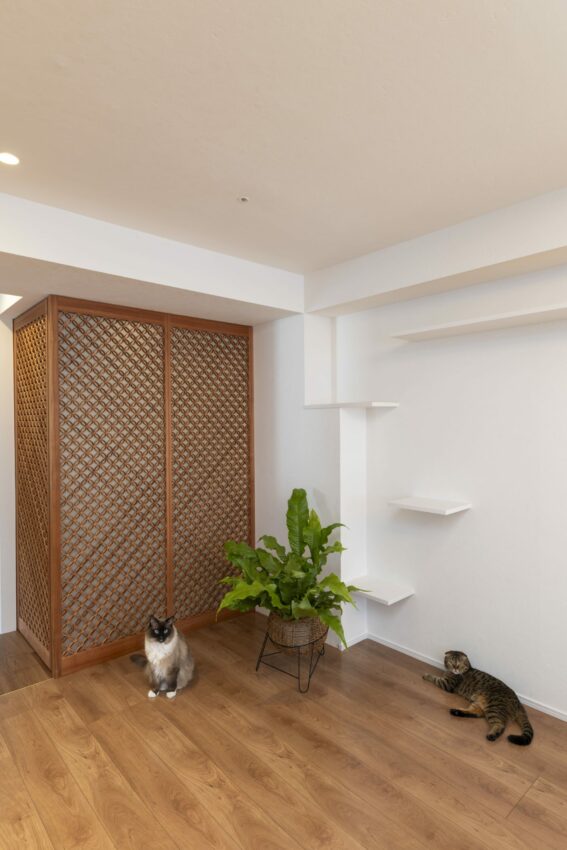 ギャラリー画像