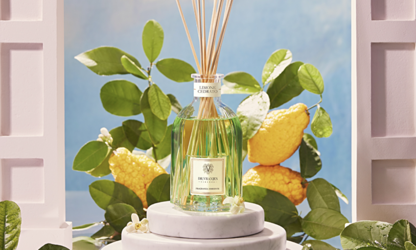 Dr.VRANJES　新商品のご案内